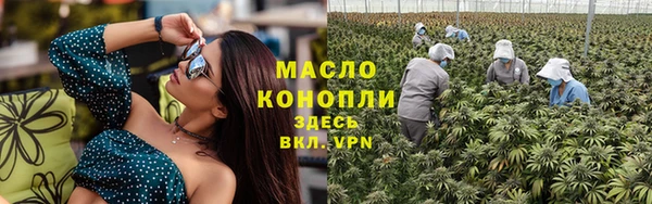твердый Дмитриев
