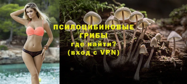 марки nbome Гусев