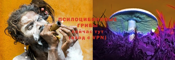 герыч Дмитров